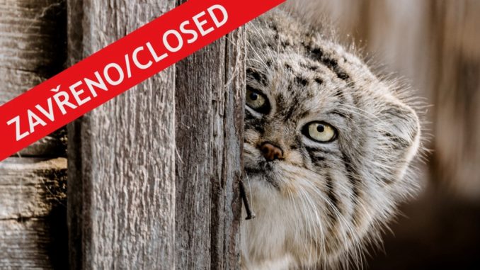 Zoo zavřeno