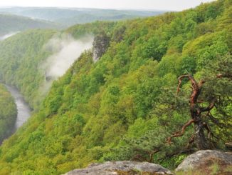 Národní park Podyjí