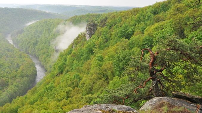 Národní park Podyjí