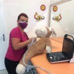 Novorozenecké oddělení FN Olomouc získalo díky sbírce za pět dnů prostředky na přenosný ultrazvuk pro vyšetření miminek