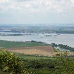 Inovativní boj proti invazním dřevinám: Povodí Moravy nově chrání hráze účinnější metodou