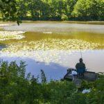 Úhynů ryb v letních měsících bude přibývat, může za to legislativa i my všichni