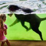 Zoo Zlín míří za dalším návštěvnickým rekordem. Do konce roku chytá ještě spoustu zajímavých akcí