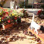 FEJETON: Jejéééj! A co fčíl…?